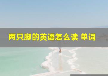 两只脚的英语怎么读 单词